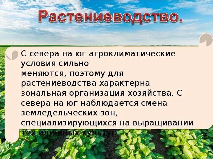Особенности растениеводства. Инструкции растениеводству. Профессии людей в растениеводстве. Характеристика растениеводства. Овощеводство культуры.