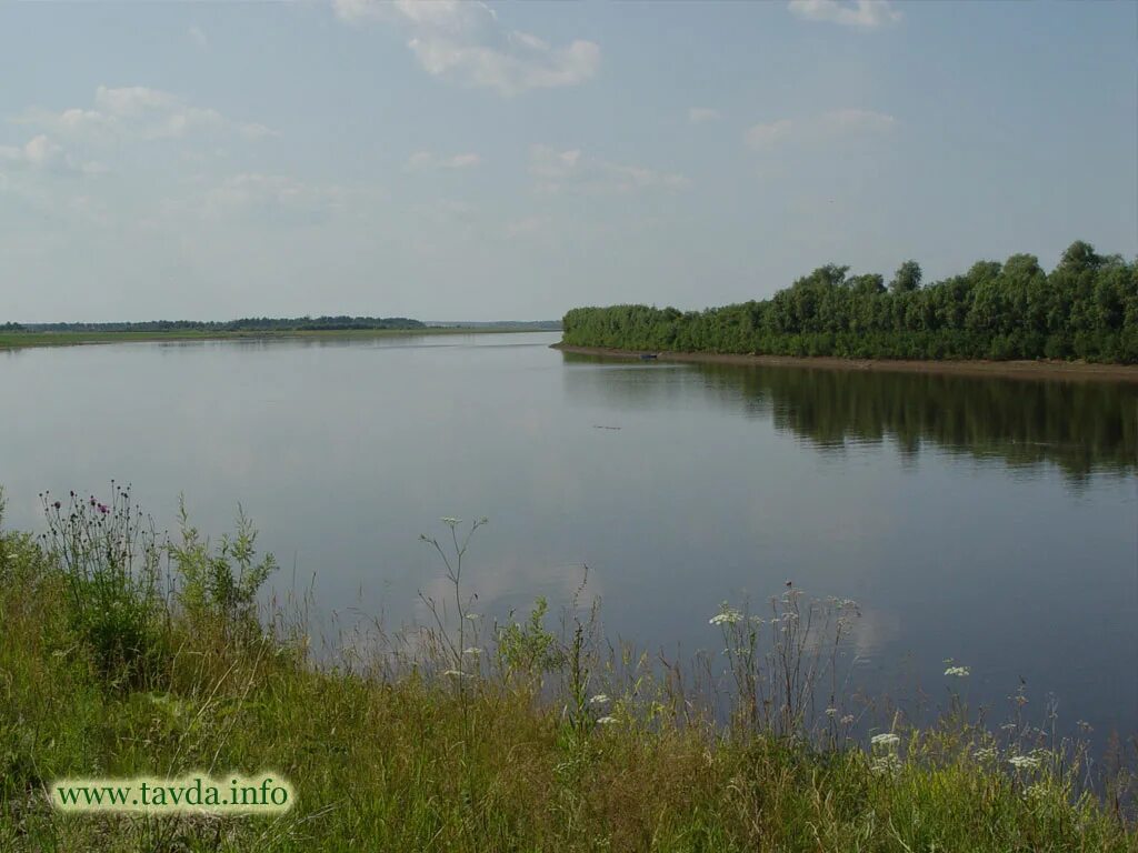 Уровень воды в реке тавда таборы. Река Тавда Свердловская область. Таборы (Таборинский район). Озера Тавды. Емельяшевка Таборинский.