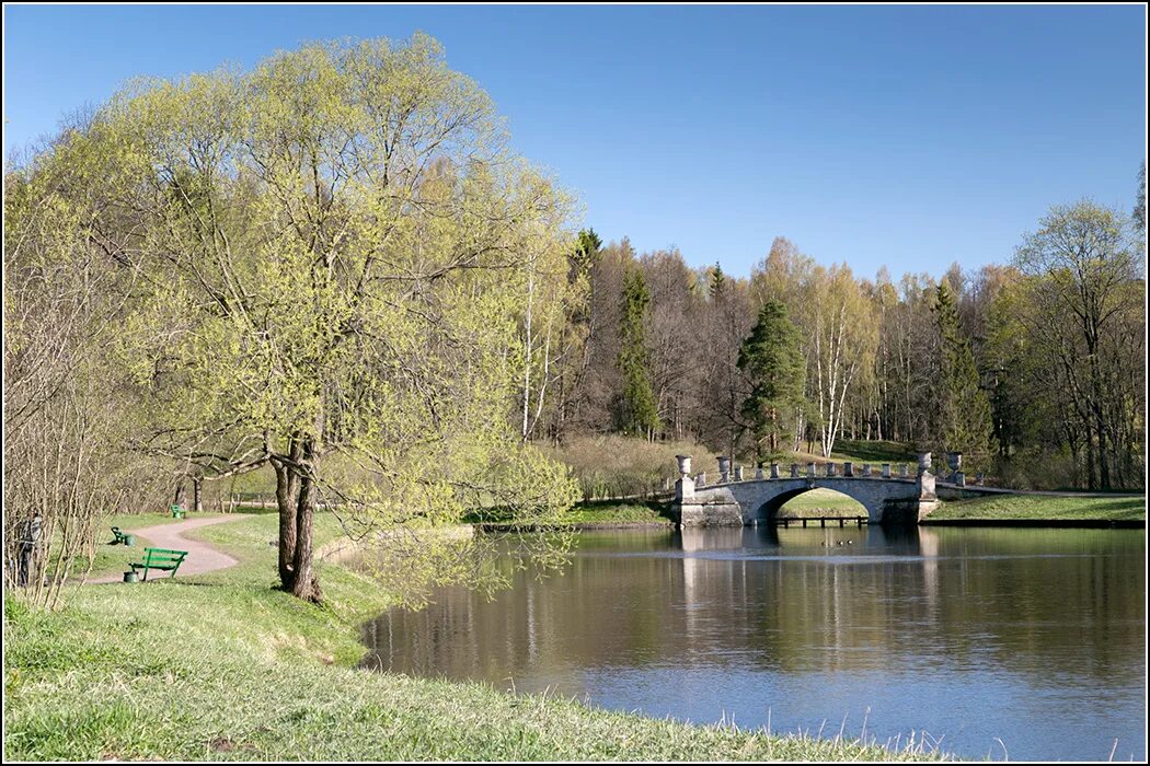 Павловск красиво парк. Павловск самый красивый парк. Самый красивый парк в России. Павловский парк самое красивое место. Сайты парков россии