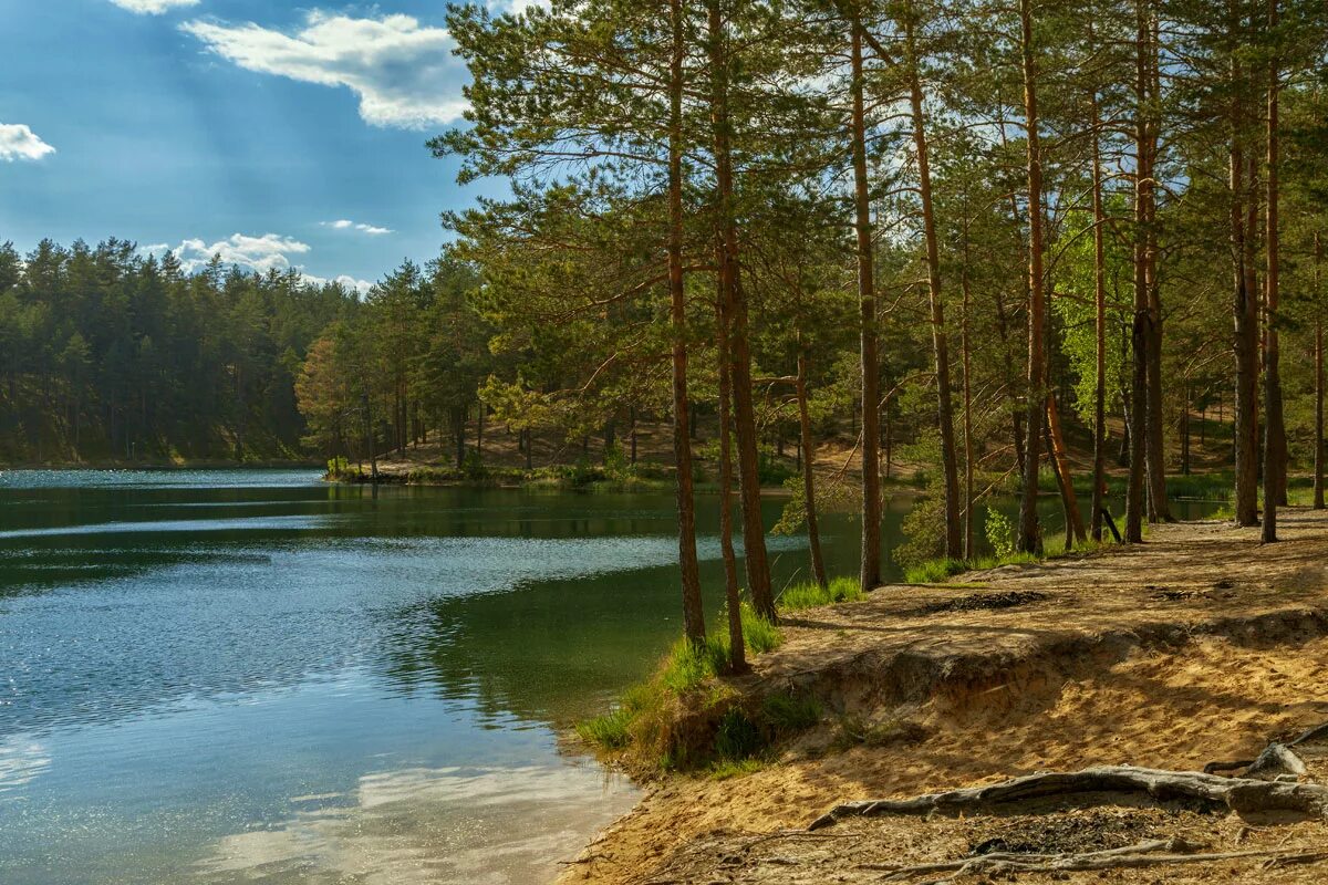 Зеркальное озеро псков. Зеркальные озера в псковской. Зеркальное озеро псков. Ужинское озеро псковская. Зеркальное озеро псков.