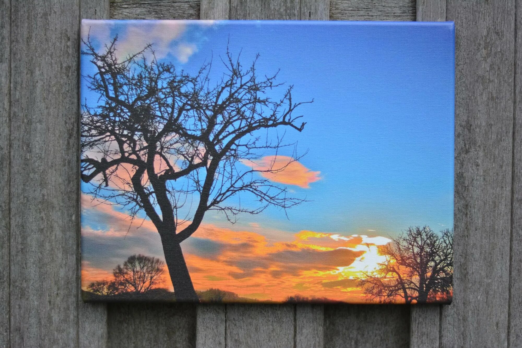 Canvas image. Современное искусство картины. canvas графика. canvas krsu. картины канвас жить.