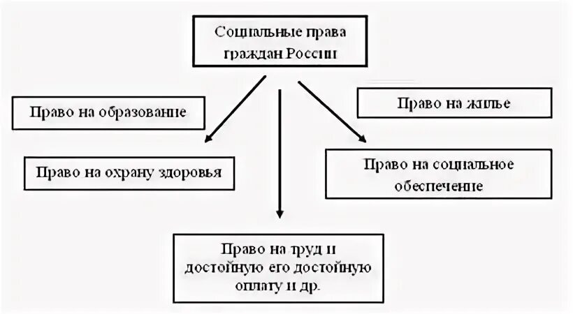 Примеры реализации социальных прав