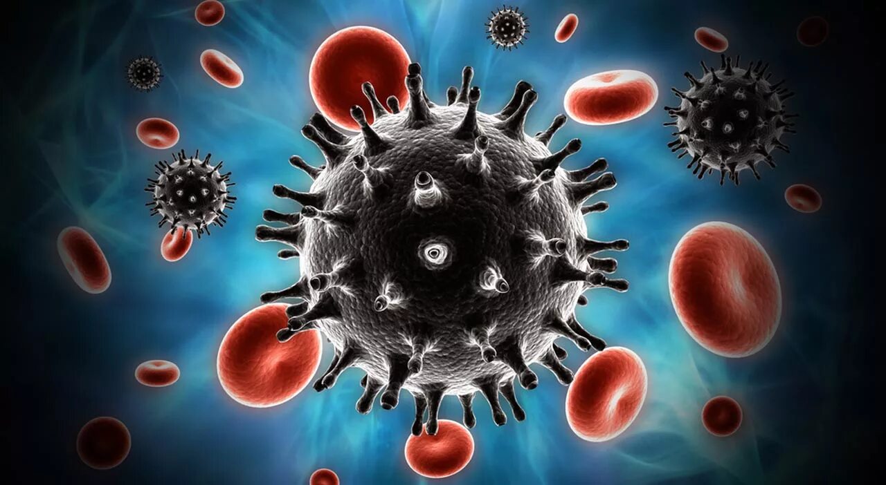 Human immunodeficiency virus. Вирусные инфекции. Вирус иммунодефицита человека. Вирусы фото.