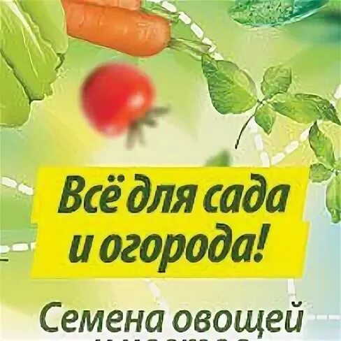 Агромаркет семена овощей