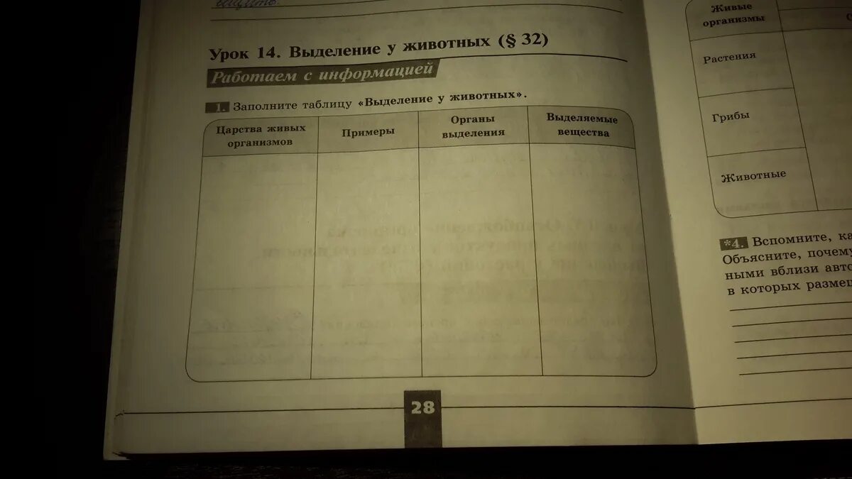 Заполните в тетради таблицу виды материальных. Выделение у животных таблица. заполни таблицу выделение у животных. заполните таблицу выделение у животных. выделение у растений и животных таблица.