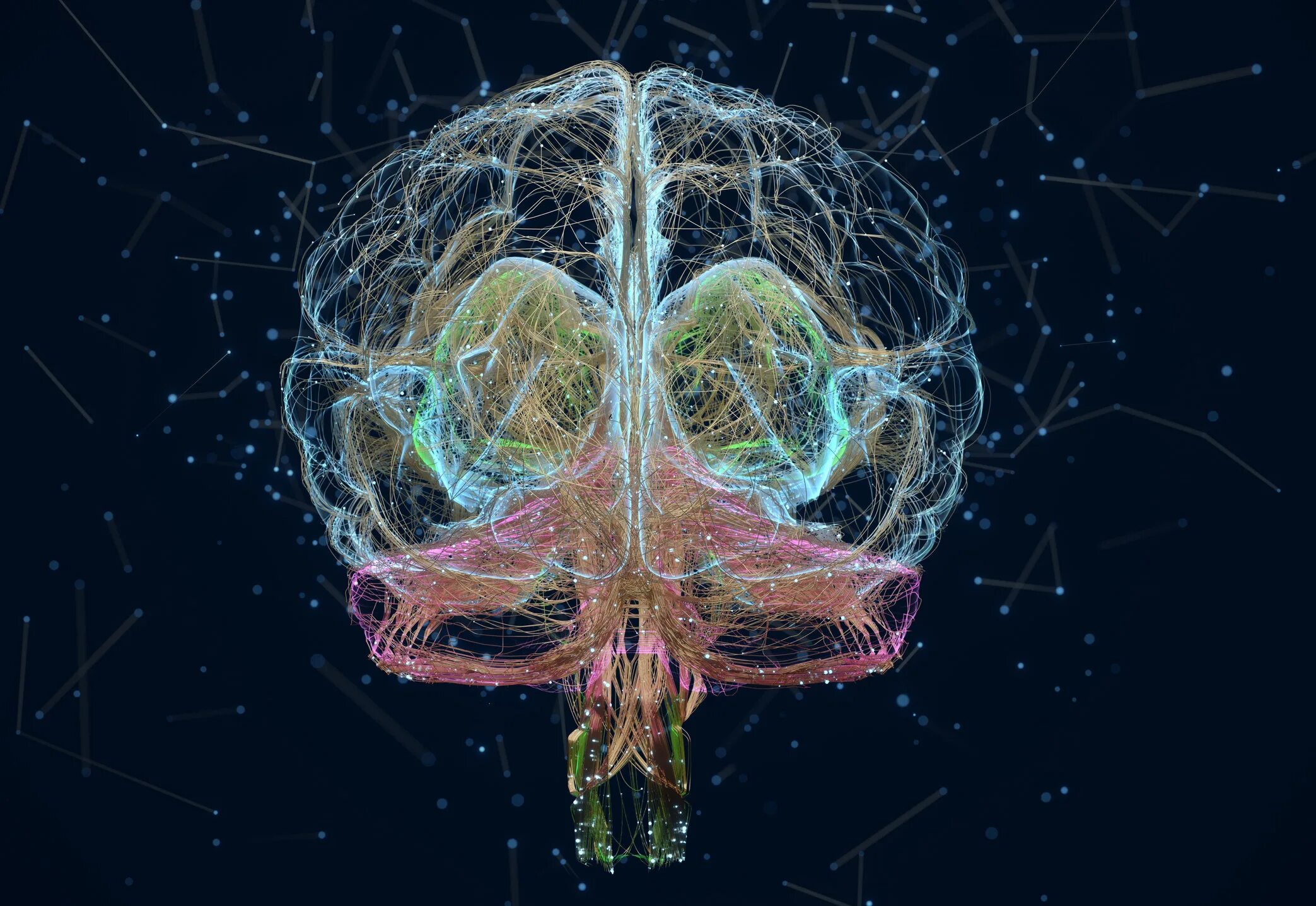 Brain 70. Нейроны мозга. Нейронная сеть мозга. Нейробиология мозга. Нейронные связи в мозге.