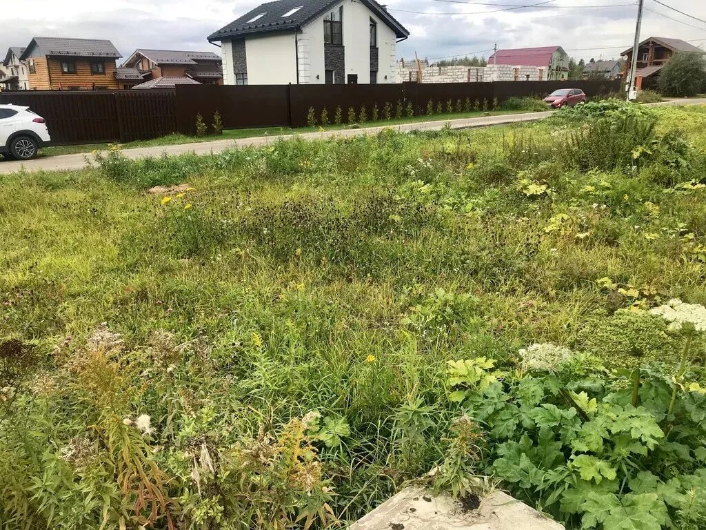 Село левково. Левково поле. Левково 2. Участок левково. Участок левково.