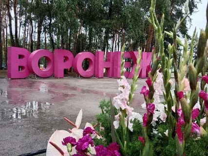 Здесь будет город сад какой город