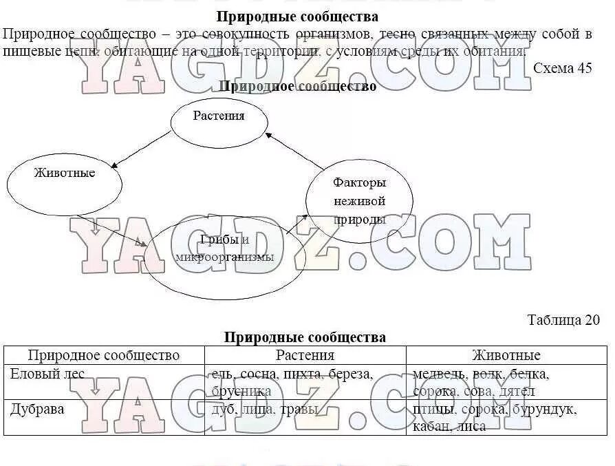 Природное сообщество 5 класс биология 21 параграф