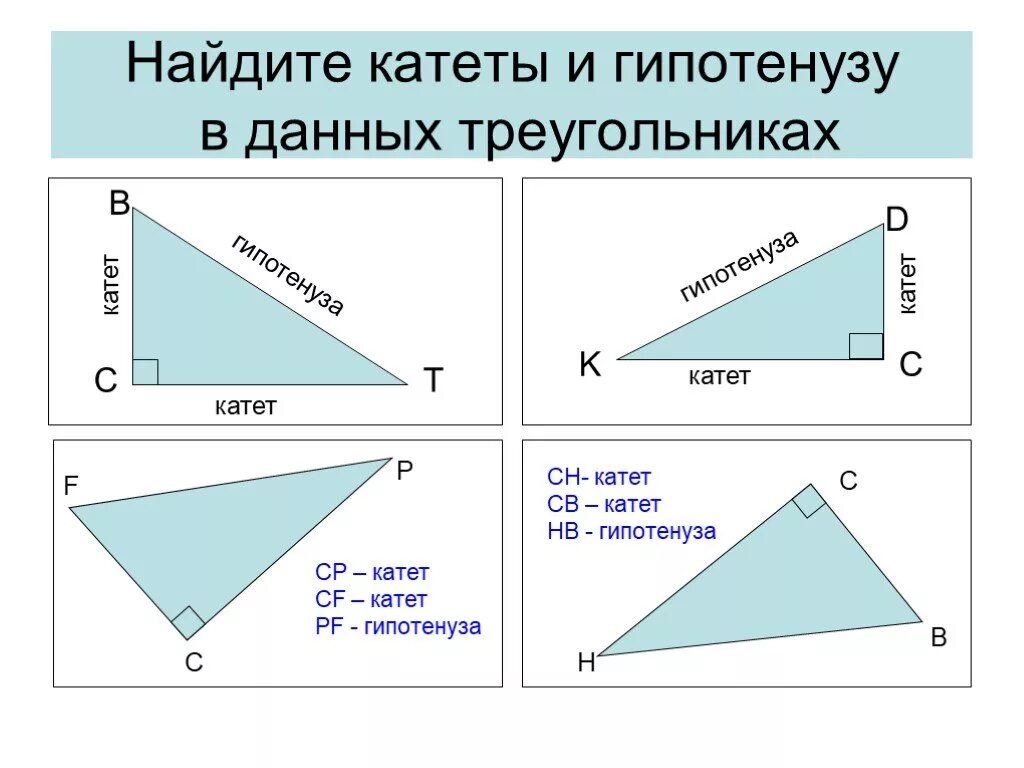 Где находится катет и гипотенуза
