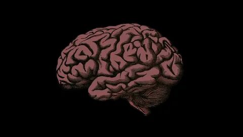 God brain