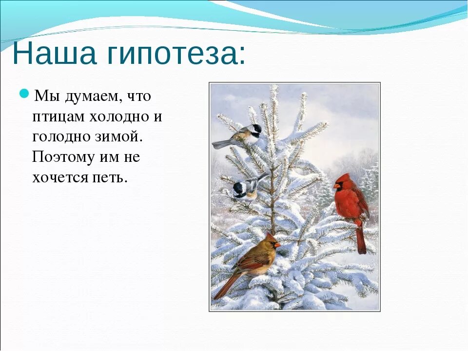 Холодно и голодно птицам зимой. Птицам голодно зимой. Птице холодно. Птицам холодно зимой.