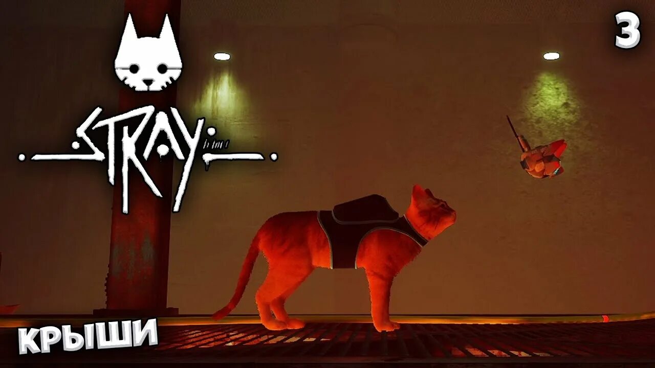 Игры пазлы кошки. За гранью жестокости 8: красный кот. Puzzle cats игра. Ред кэт лицо. Ред кэт лицо.