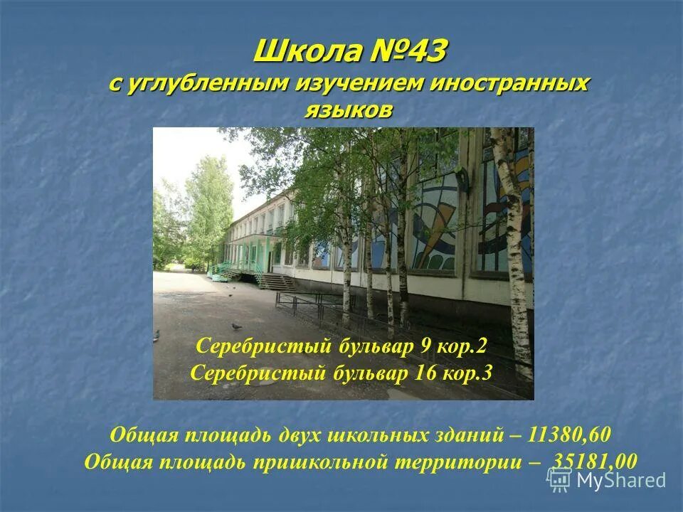 школа 23 питер. гимназия 1272. гбоу средняя общеобразовательная школа 263. новаторов, 43 отзывы. 351 школа московского района спб.
