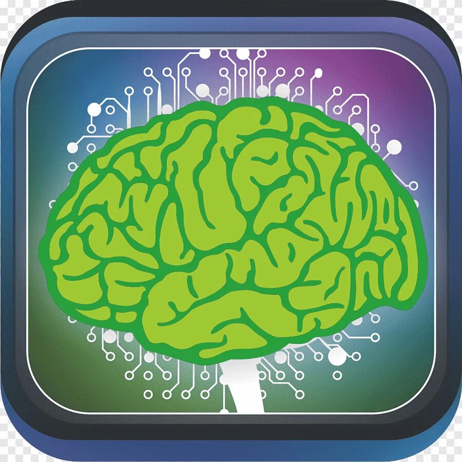 Bright brain. Ресурс мозга. Экологическое мышление. Экологический мозг. Мозг и окружающая среда.