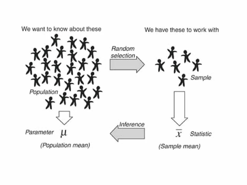 Sampling x. Population and sample example. sample vs population. sample картинка. sampling.