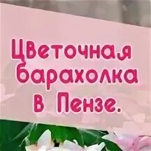 Барахолка тобольск. Цветочная барахолка. Цветочная барахолка. Цветочная барахолка. Барахолка цветов.