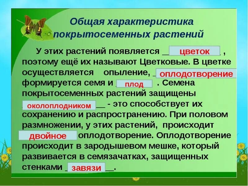 Картинки ОСОБЕННОСТИ ЖИЗНЕДЕЯТЕЛЬНОСТИ ЦВЕТКОВЫХ РАСТЕНИЙ