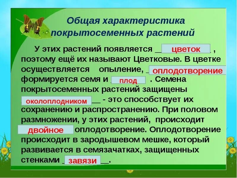 Почему покрытосеменные получили. Общая характеристика покрытосеменных. Характеристика цветковых растений 5 класс биология. Покрытосеменные растения 5 класс. Основные характеристики покрытосеменных.