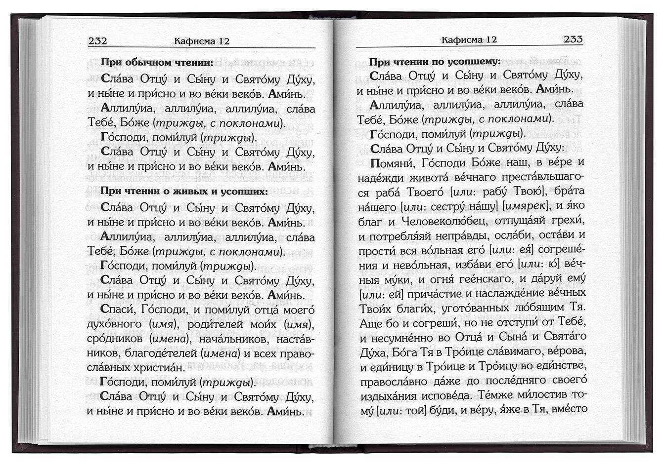 Читать молитву слава. Молитвы по псалтырю.. Порядок чтения Псалтири по усопшим. При чтении Псалтыри. Молитва при чтении Псалтири по усопшим.