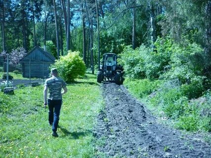 Орловское лесничество