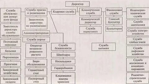 Организационная структура приема и размещения