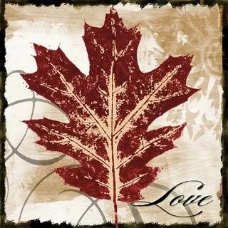 Lover leaves