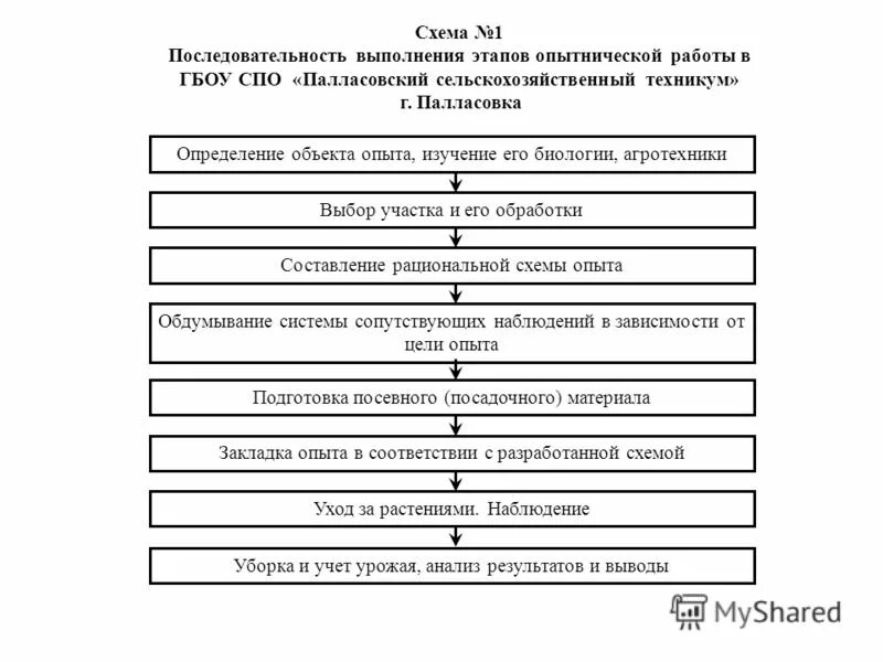 Восстановите последовательность выполнения этапов проекта