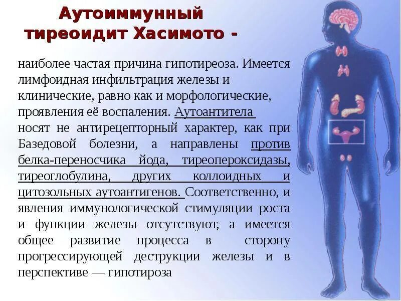 Спирулина для чего. Можно ли принимать спирулину при гипотиреозе. Спирулина при гипотиреозе. Можно ли принимать спирулину при гипотиреозе. Препараты при гипотиреозе щитовидной.
