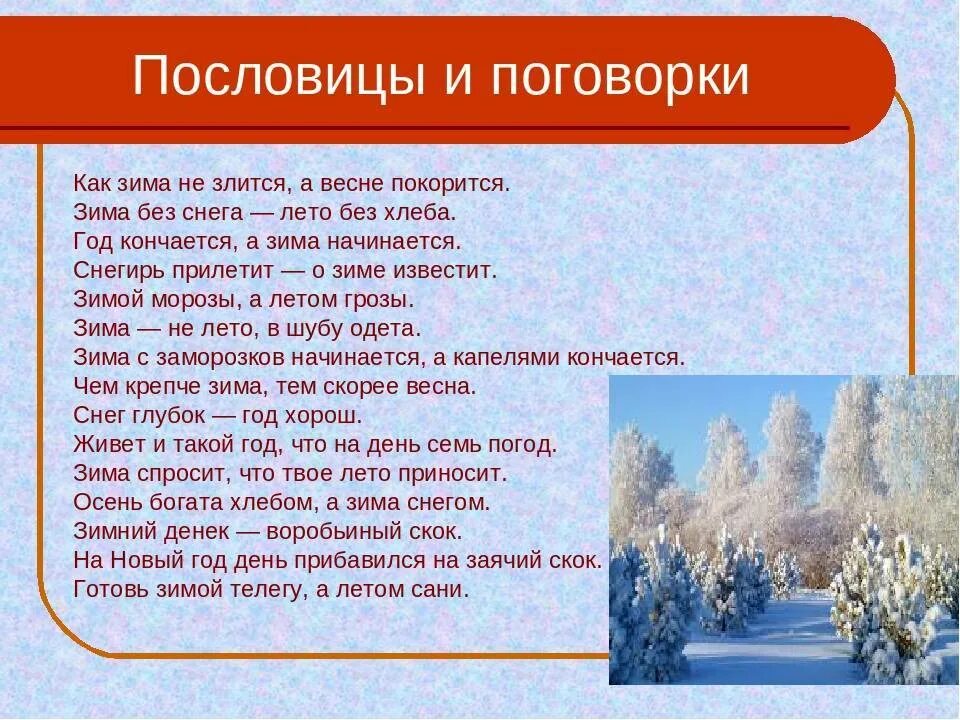 Поговорки о зиме. Зимние пословицы. Зимние пословицы и поговорки. Пословицы о временах года.