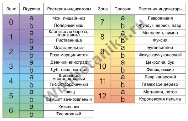 В какой растительной зоне коэффициент. Таблица зон зимостойкости растений России. Зона морозостойкости таблица для растений. Зона морозостойкости USDA: 6. Зона зимостойкости 4.