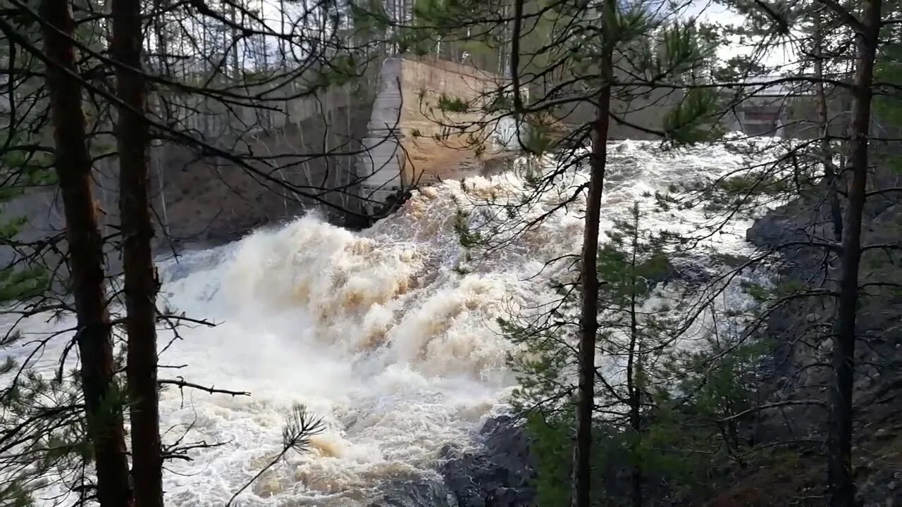 Гирвас ГЭС. Гирвас водосброс 2020. Плотина Гирвас Карелия. Пальеозерская ГЭС Гирвас. Волжский сброс воды 2023