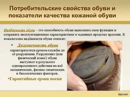 Экспертиза обуви сроки