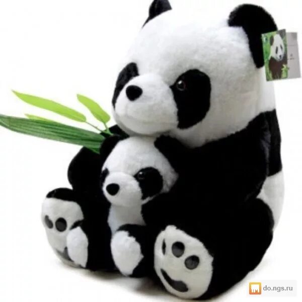 панда новоалтайск