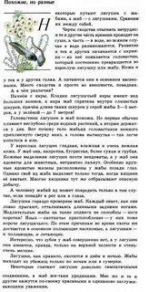 Книга зеленые страницы 2 класс читать