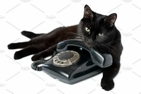 Телефон черного кота