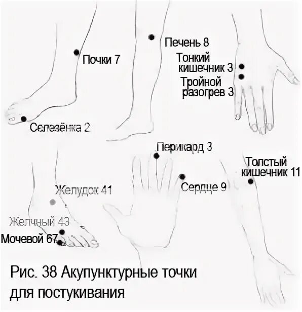 Точки на пальцах рук су джок. Точки на ладони для массажа здоровья. Су джок схема ладони. Соответствие точек на стопе внутренним органам. Точки воздействия на ладони.