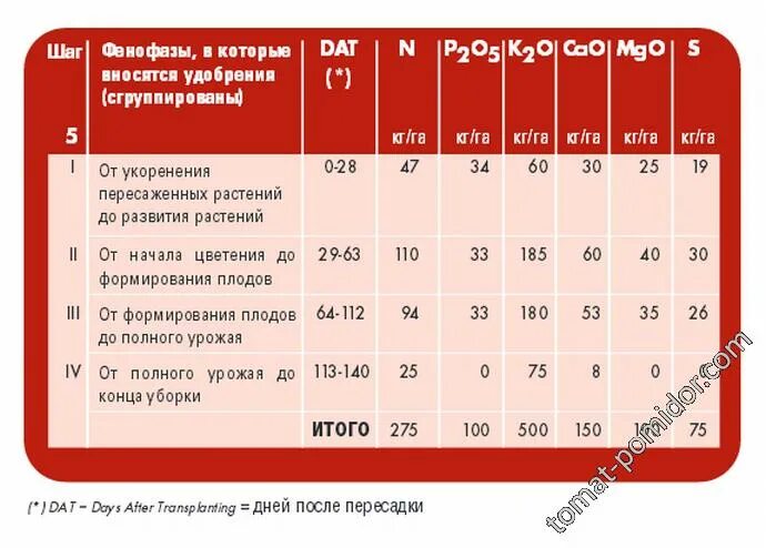 На рынке грунтовых томатов в стране z. Вынос элементов питания томат. Вынос элементов питания клубники. NPK для томатов. Потребность элементов питания томатов.