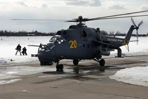 Ми крокодил