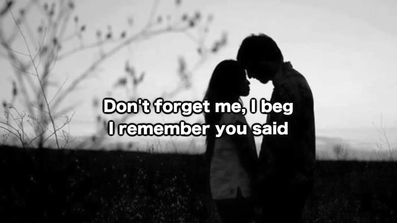 I did not remember. Do not forget me. Forget me too обложка. Please don't forget песня. Don't forget me i beg.