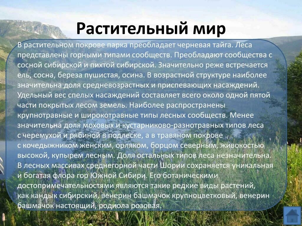 Растительный и животный мир Кемеровской области. Растительный мир Кемеровской области. Растительность Кемеровской области. Растительный мир Кузбасса для детей. Как изменяется растительный покров