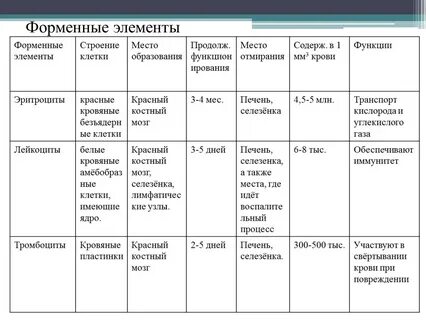 Биология 8 класс характеристика