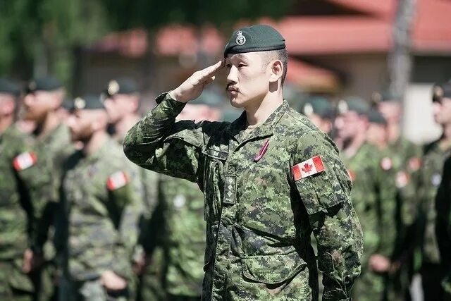 Canadian army