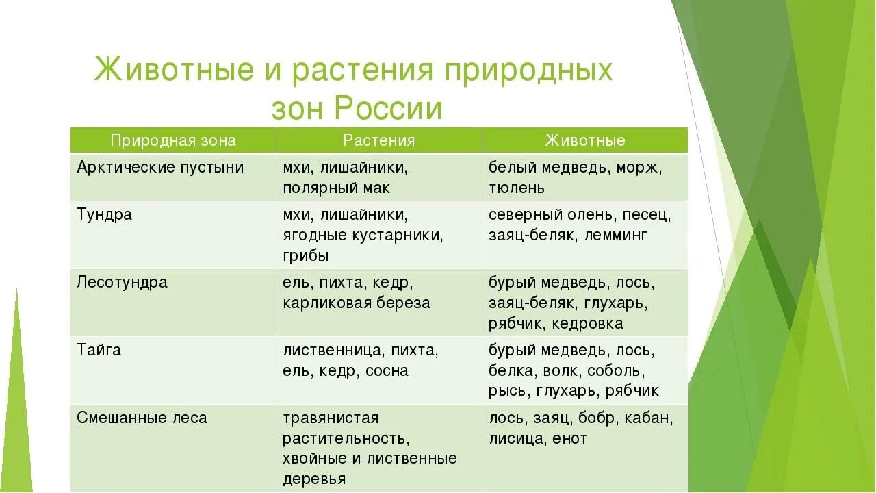 Таблица природные зоны России 5 класс биология таблица. Таблица природная зона почвы и растительность России. Природные зоны России животные и растения таблица. Растительный и животный мир природных зон таблица. Среда обитания волка 5 класс биология впр