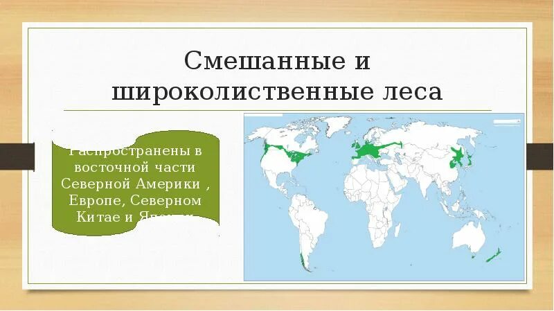 Широколиственные леса относительно морей и океанов. Широколиственные леса в России на карте почвы. Зона смешанных и широколиственных лесов географическое положение. Смешанный широколиственные леса на карте. Зона широколиственных лесов на карте.