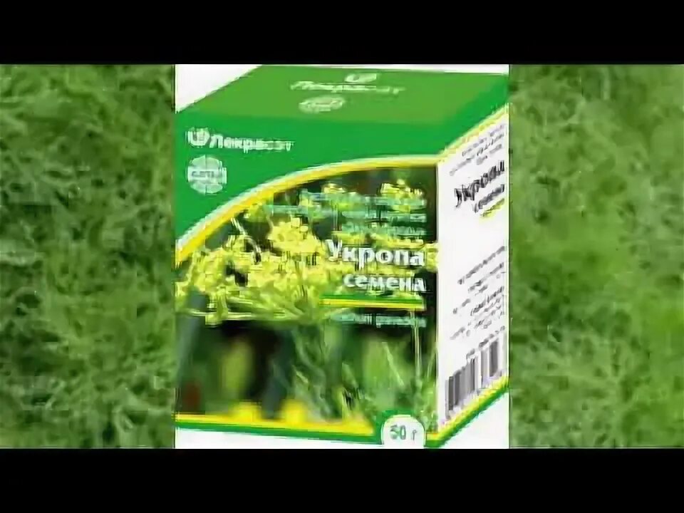 Укроп в аптеке. Семена укропа аптечные. Укропные семена от давления. Семена укропа для ЖКТ.