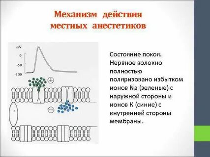 Усиливает действие местных анестетиков
