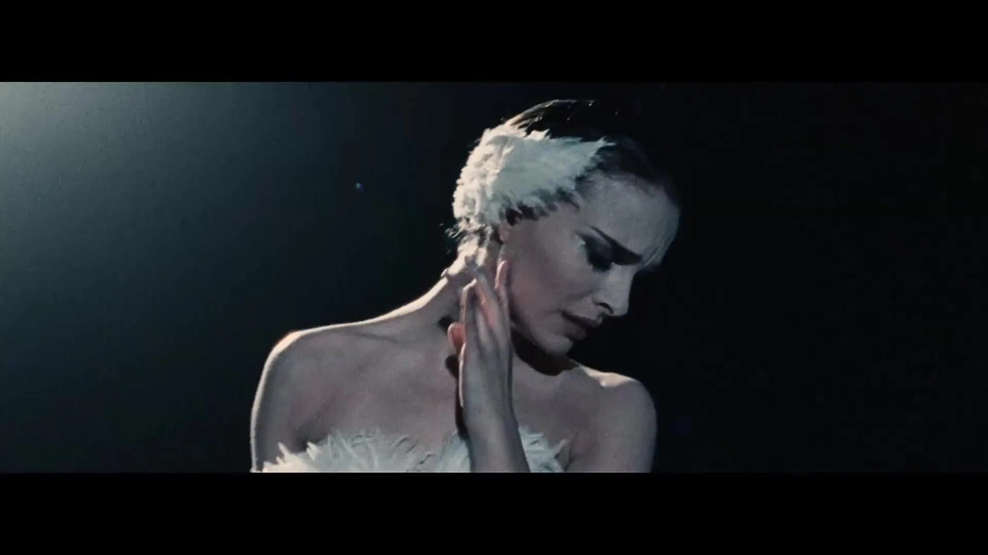 черный лебедь птица арт. черный лебедь (black swan) самолет. черный лебедь на озере. чёрный лебедь и белый лебедь. гайд на черного лебедя хср.