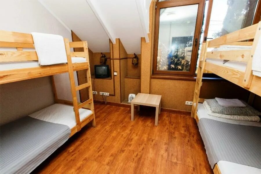 Снять хостел в сочи недорого. Хостел ривьерский. hostel сочи. хостел ривьера сочи. хостел вечное лето сочи.