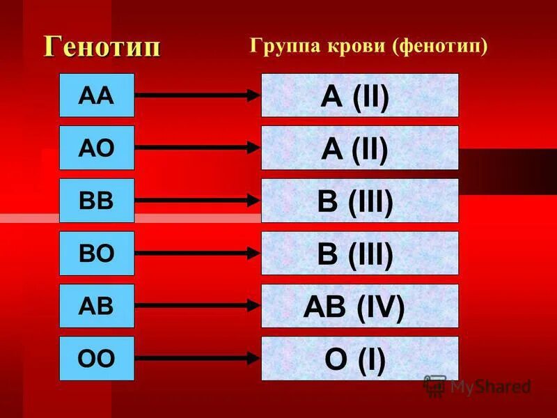 Генотипы групп крови. Группы крови генетика. Фенотипы и генотипы групп крови. Генотип 3 группы крови.